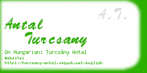 antal turcsany business card